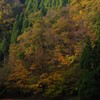 晩秋の朝　Ⅱ