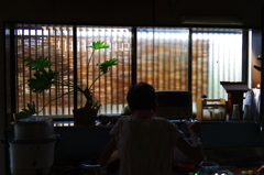 母の背中