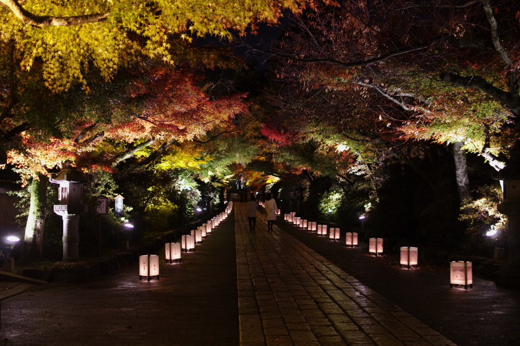 雨あがりの石山寺参道