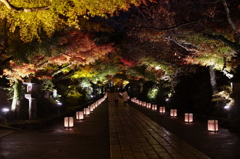 雨あがりの石山寺参道