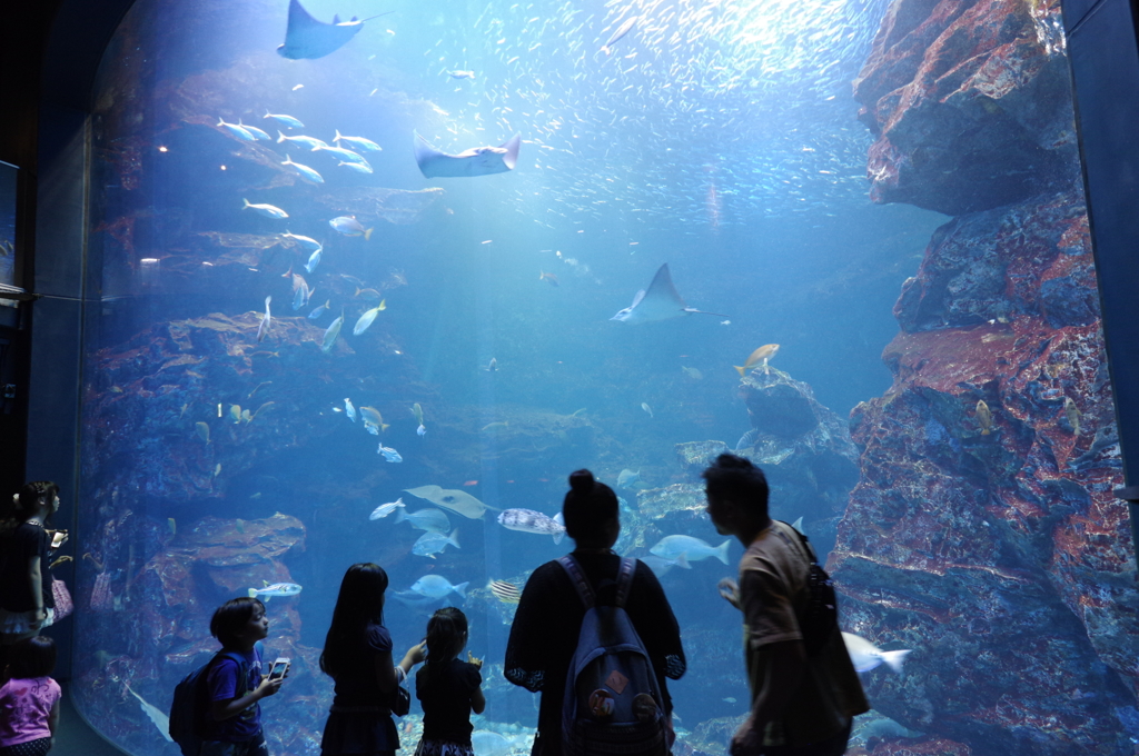 水族館って楽しいな♫