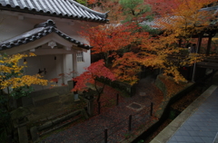 永観堂へ