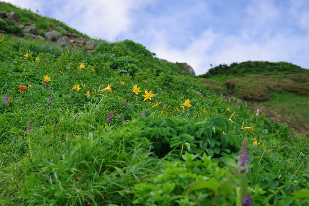 至福の尾根歩き /　7月の白山
