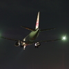 夜鶴