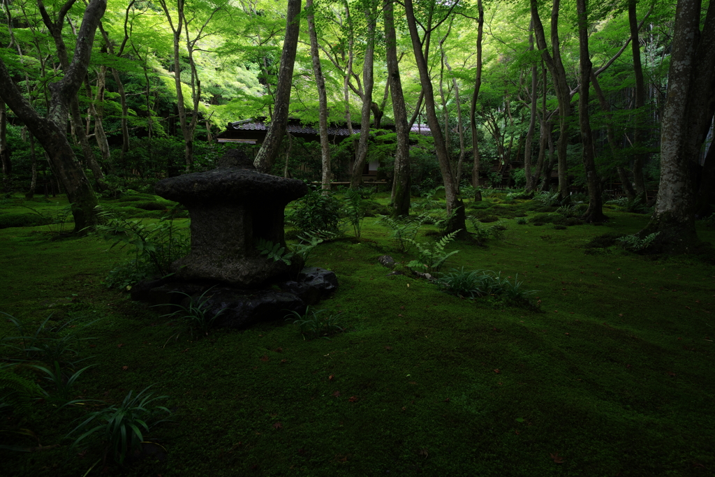 祇王寺、梅雨の頃