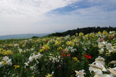 IMGP6855