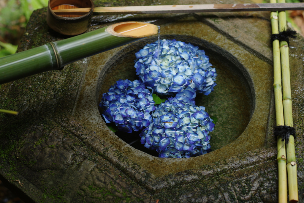 花手水