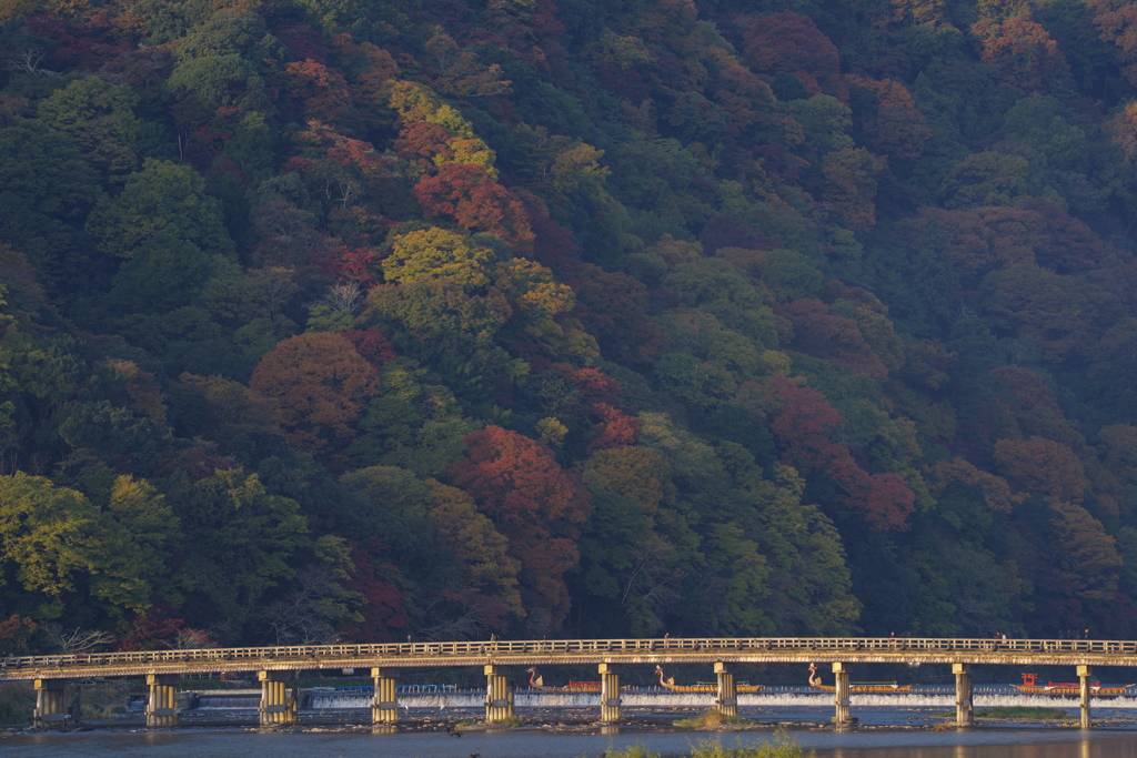 嵐山、紅葉深まる　Ⅱ