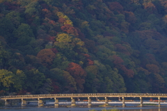 嵐山、紅葉深まる　Ⅱ