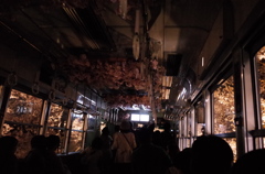 夜桜電車