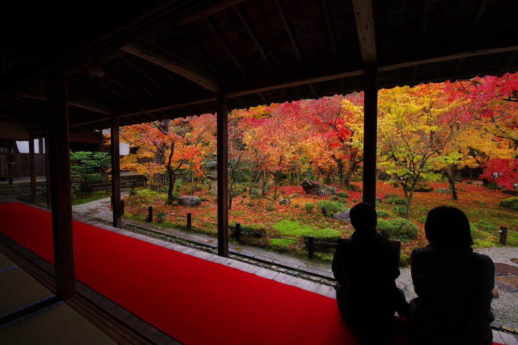 おもいでの京都