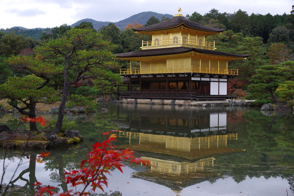 秋の金閣寺