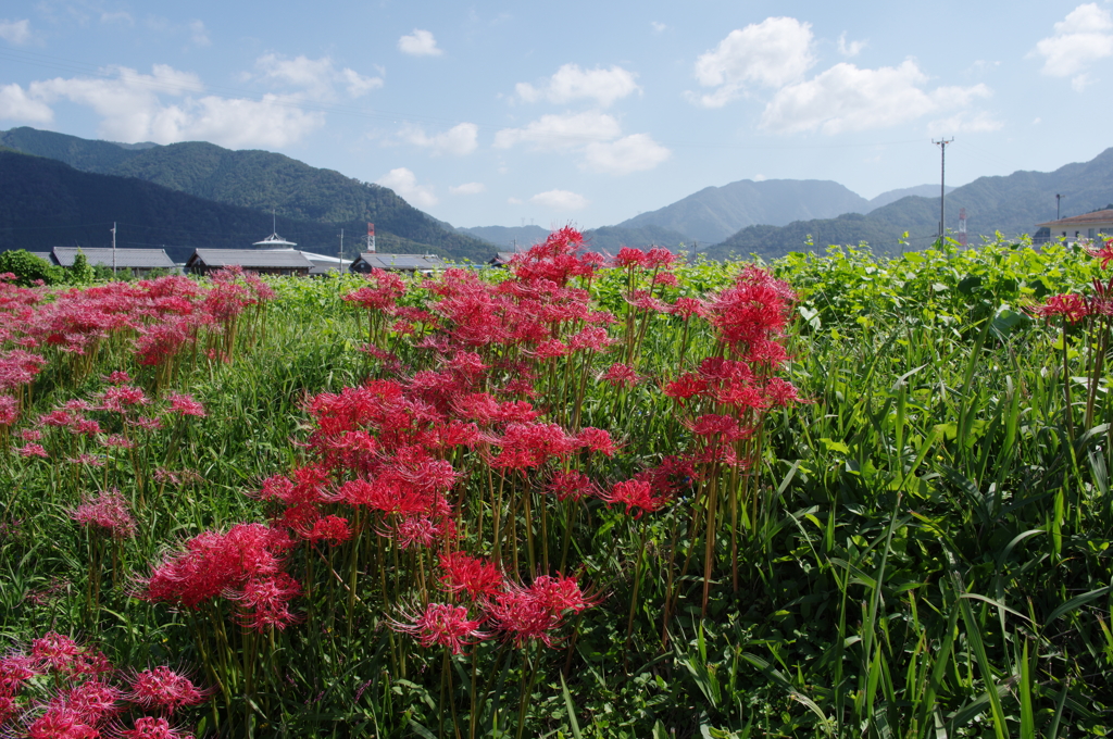 初秋のある日