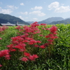 初秋のある日