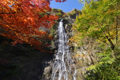 天滝の紅葉