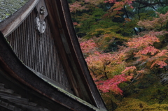 IMGP2455