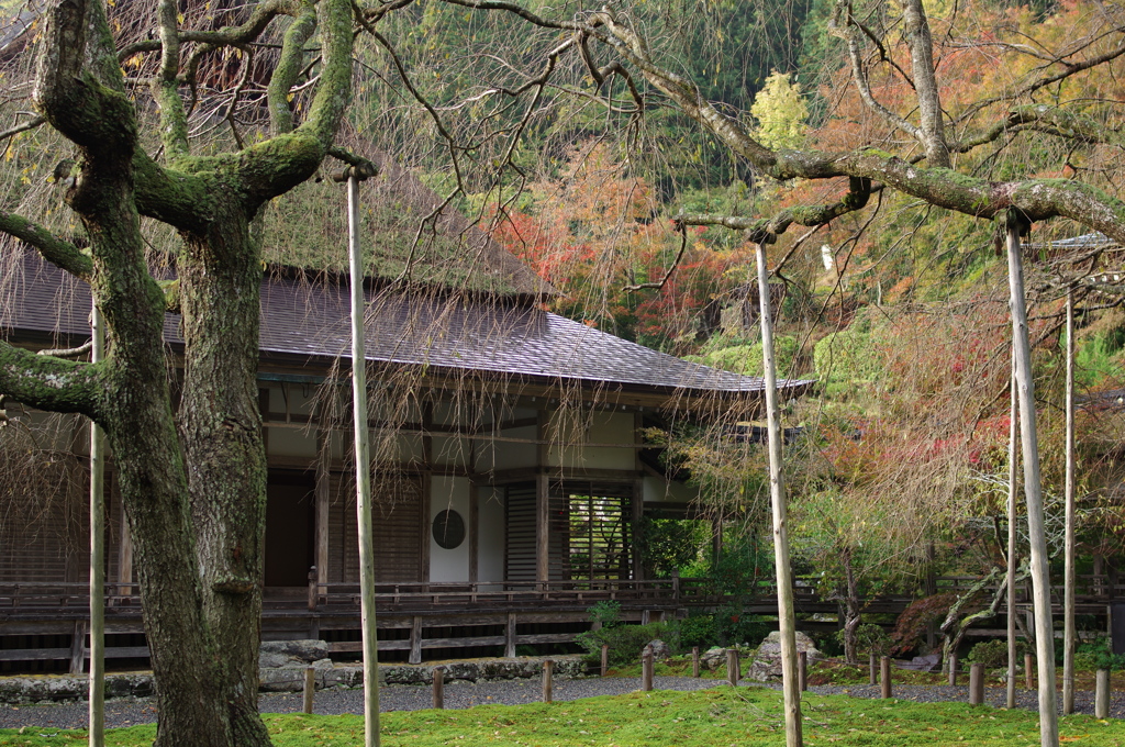 錦秋待つ、常照皇寺