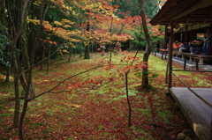 今年の京都