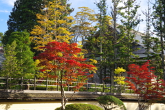 高野山の秋散歩