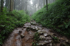 梅雨の伊吹山へ