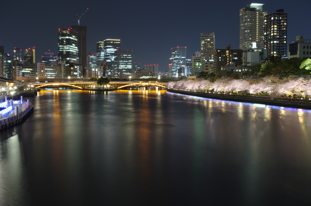 水都の春夜
