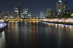 水都の春夜