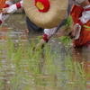 田植え神事