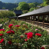 花の寺