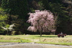 田植えの頃