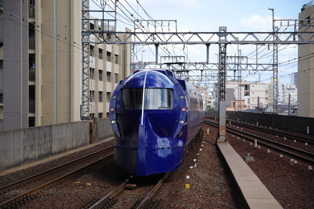 撮らずには、いられない