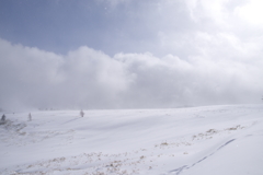 吹雪から晴れへ