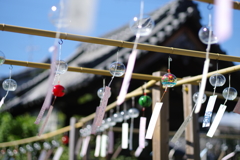風にそよぐ