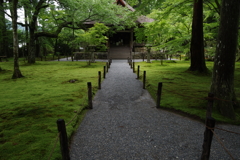 三千院の緑