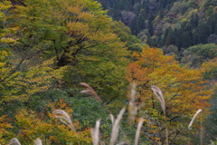 山は、秋の色 Ⅱ