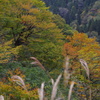山は、秋の色 Ⅱ