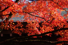 和のいろ、「紅」