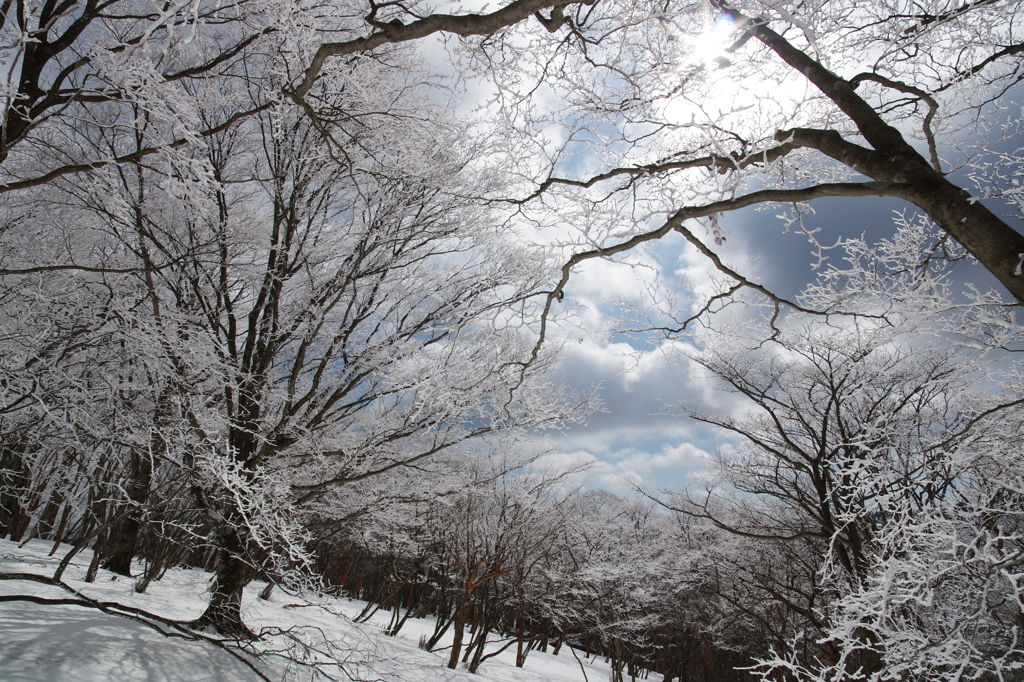 もうすぐ青空が広がる