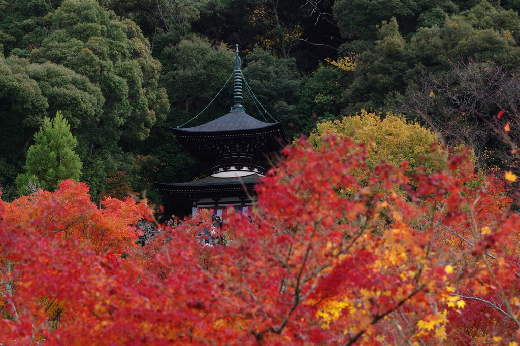 錦の多宝塔　