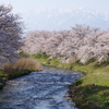 春の風景　Ⅱ