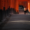 千本鳥居
