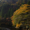 晩秋の朝　1