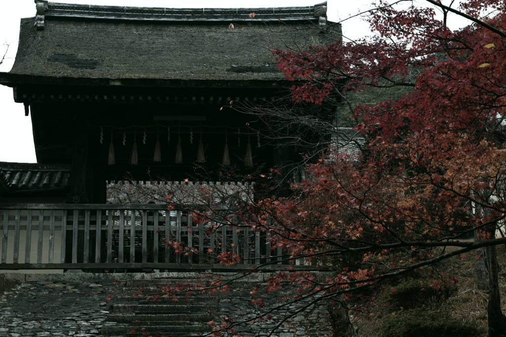 毘沙門堂にて