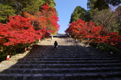 神護寺、大階段