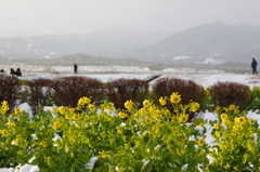 雪日の夕方