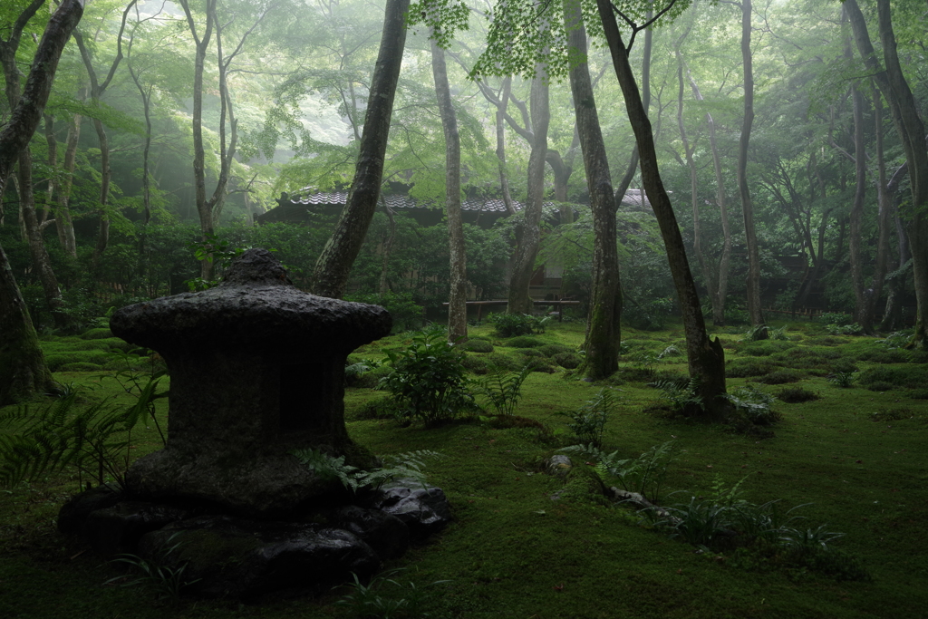 苔むす寺