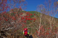 白山へ行ってきました。