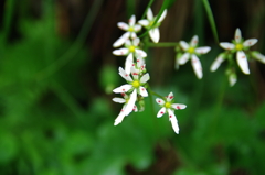 IMGP8114