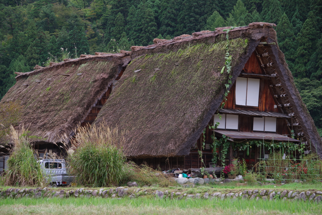 白川郷の合掌造り