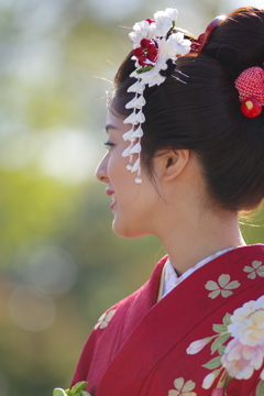 西陣の華　Ⅱ