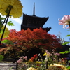 京艶はじまる